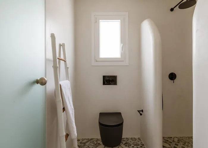 فيلة Aeolos Cleo *